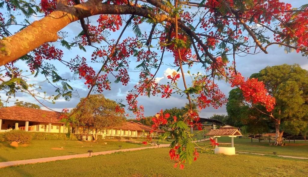 Sertao Veredas Hotel Fazenda Paraopeba Esterno foto